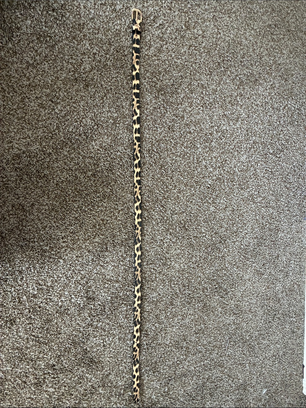 Leopard Print Skinny Women’s Belt - Camel/Black